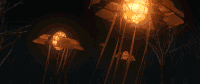 水母 jellyfish 水母灯 高科技