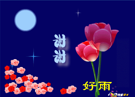 花朵 中文 红色 月亮