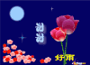 花朵 中文 红色 月亮