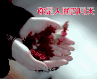 四月时光