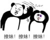 暴漫 文字表情包 撩妹撩妹撩妹 搞怪 沙雕 魔性