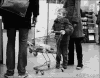 国外  怎么对待   小孩子  儿童