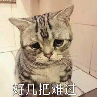 猫咪 瓷砖 萌宠 好几把难过