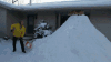 汪星人 玩雪 跳跃 后空翻
