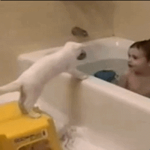 宝贝 猫咪 洗澡 搞笑