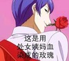 玫瑰花 少年 帅气 滑稽