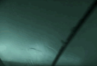 夜晚 大雪 灯光 行走