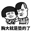 暴漫 文字表情包 胸大就是垫的了 搞怪 逗 沙雕