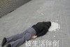 搞怪 被生活绊倒 搞笑 逗 沙雕