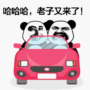 熊猫人 开车 老子又来了 老司机