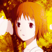 树木 阳光 女孩 蝴蝶