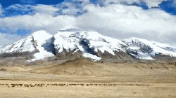 新疆 牛羊 纪录片 航拍中国 蓝天 雪山 慕士塔格峰