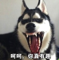 哈士奇 搞笑 二哈 魔性 文字表情包