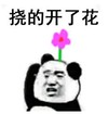 暴漫 熊猫头 挠的开了花 搞笑 逗 沙雕