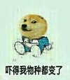 狗狗 坐着 呆萌 吓得我物种都变了