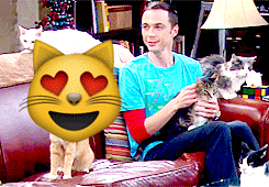生活大爆炸 Sheldon emoji 型男