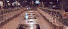 搞笑 漂亮 创意 图片 看着 gif