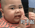 tatan 萌娃 对不起 可爱 搞笑 逗