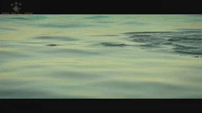 纪录片 海洋 电视剧 游泳