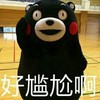 熊本熊 挠头 害羞 好尴尬啊
