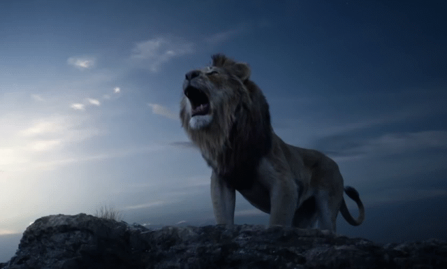 迪士尼 狮子王 真人版 动画片 电影 经典 预告片 可爱 萌 动物