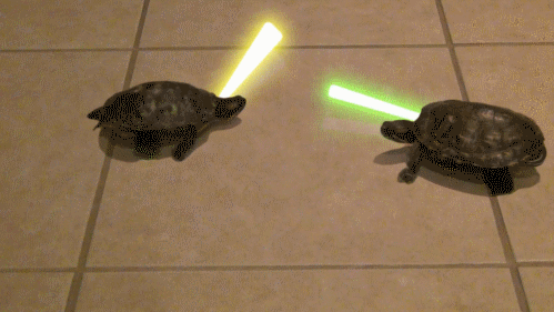乌龟 打架 闪灯 搞笑
