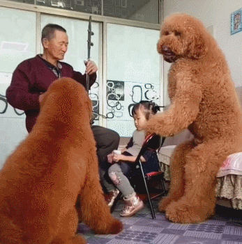 搞笑雷人 萌宠 搞笑动物 厉害了 可爱