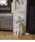 猫咪 站立 魔性 成精了