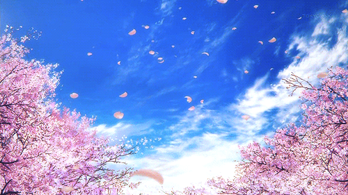 蓝天 白云 树木 花瓣