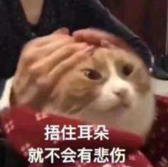 沙雕 魔性 文字表情包 搞笑 逗