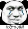 暴漫 文字表情包 你凭什么小瞧爷 搞怪 逗 沙雕