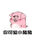 斗图 金馆长 你可爱小猪猪 soogif soogif出品