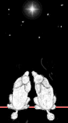 贵宾犬 poodle 爱心 黑白