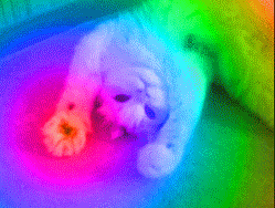迷幻的 psychedelic 彩虹 踩奶