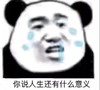 暴漫 熊猫头 你说人生还有什么意义 无奈 搞怪 逗