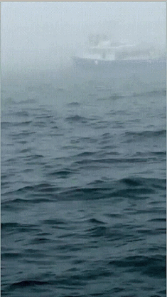 大海 海怪 敬畏