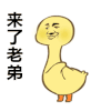 来了老弟 卖萌 鸭子 可爱 soogif soogif出品