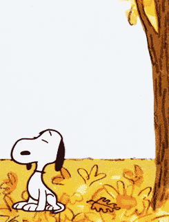 史努比 Snoopy 落叶 秋天