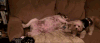 生活 搞笑 别走 gif