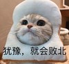萌宠 喵星人 犹豫就会败北 别怕 呆萌 可爱