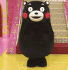 熊本熊