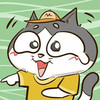 猫咪 可爱 搞笑 开心