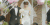 夏至未至 结婚 幸福 美满