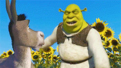 怪物史莱克 Shrek 史莱克 贫嘴驴 向日葵