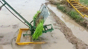 自动插秧机 搞笑 厉害 水稻