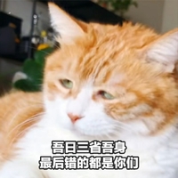 萌宠 喵星人 吾日三省吾身 错的都是你们 可爱 调皮
