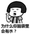 暴漫 熊猫头 为什么你脑袋里会有水 逗 搞笑 魔性