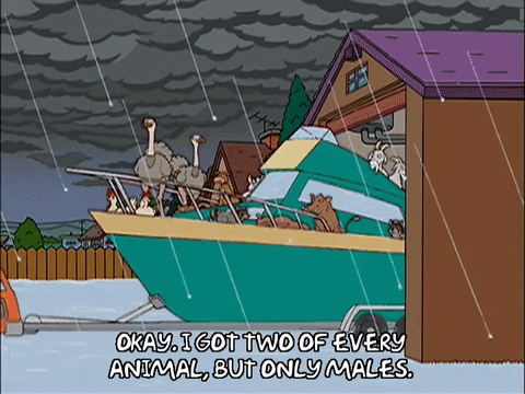 森普森 开船 下雨