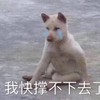 丧 丧逼 丧逼表情包