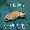 萌宠 汪星人 不用抢救了 让我去吧 生无可恋 搞怪 逗